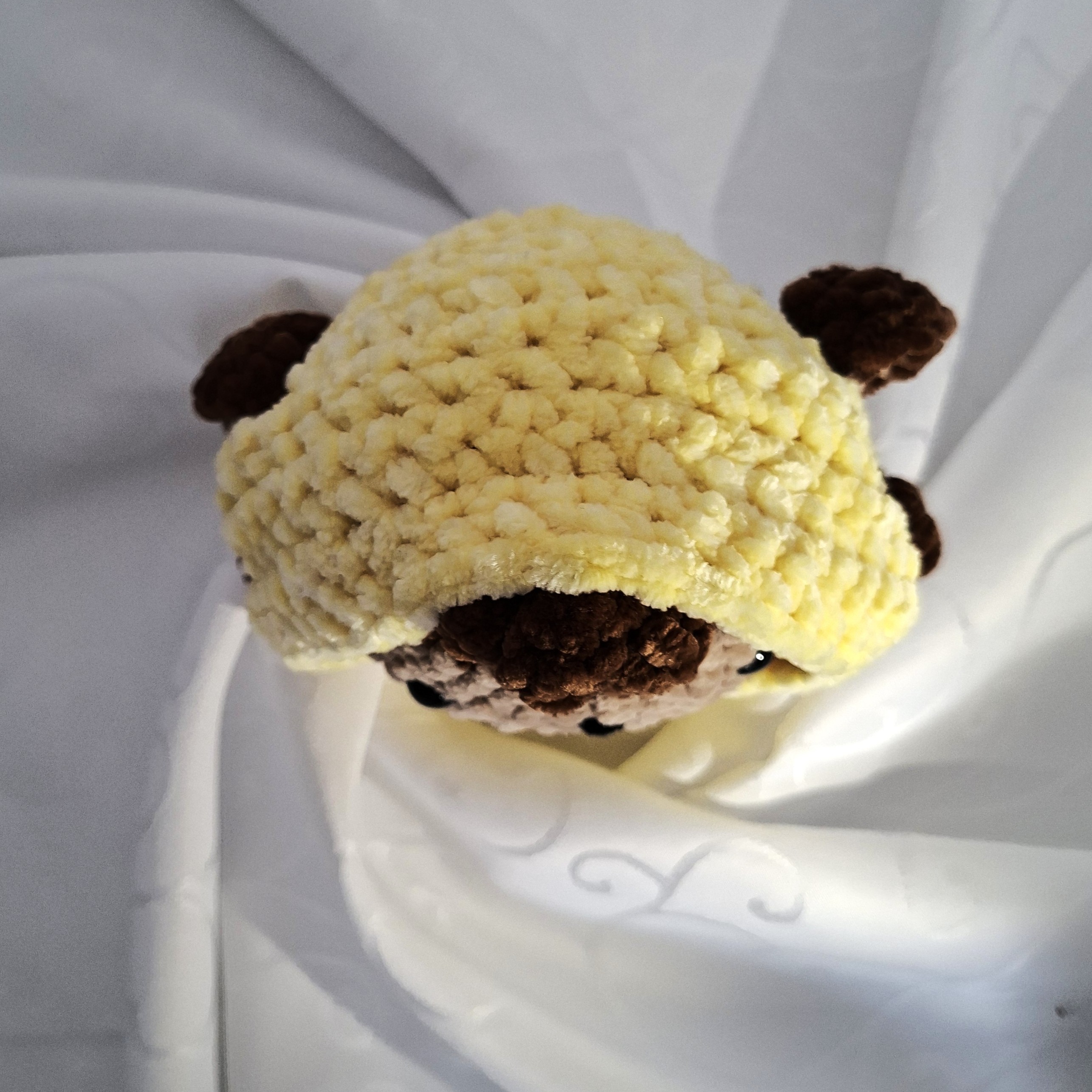 Sunny Monkey