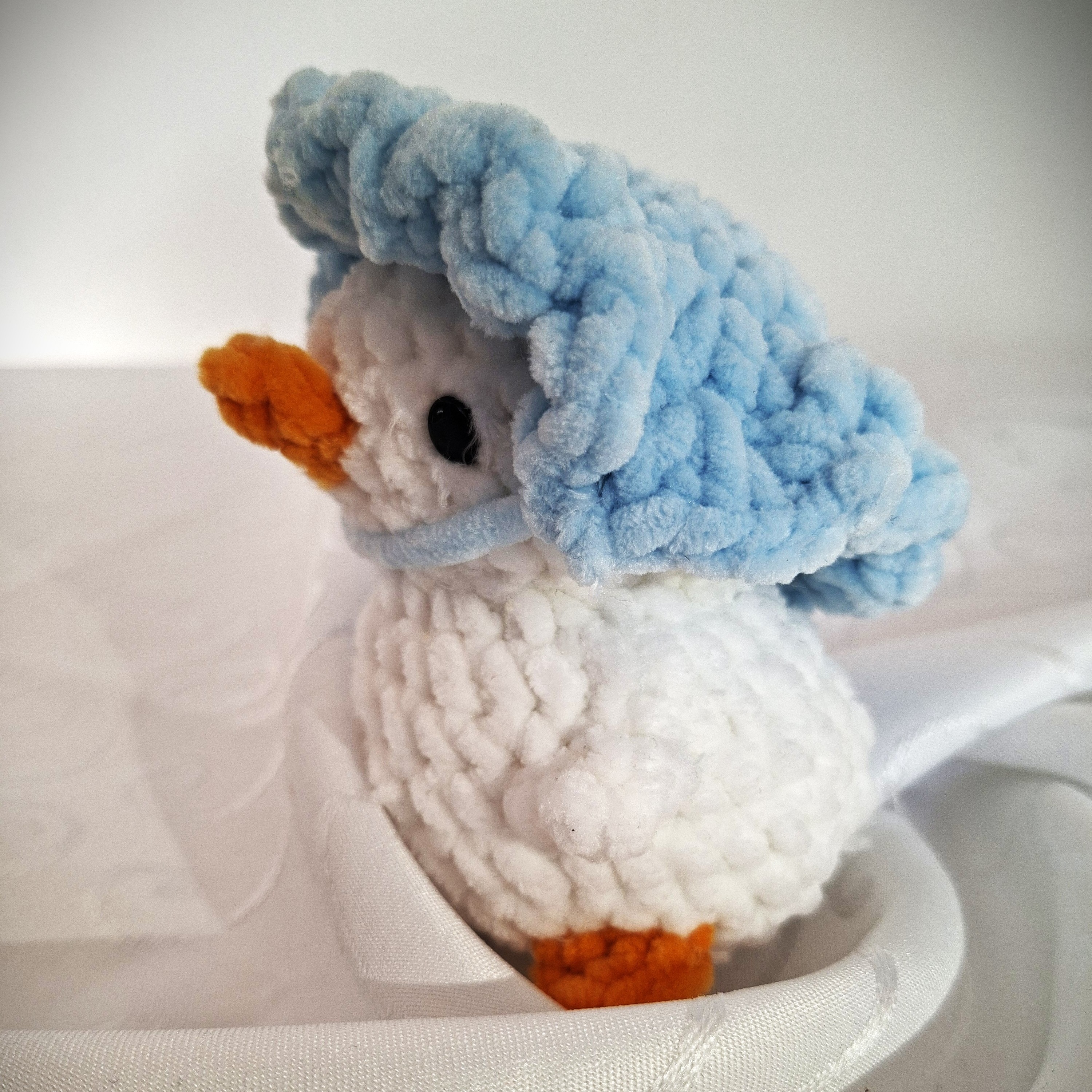 Cloudy Duck