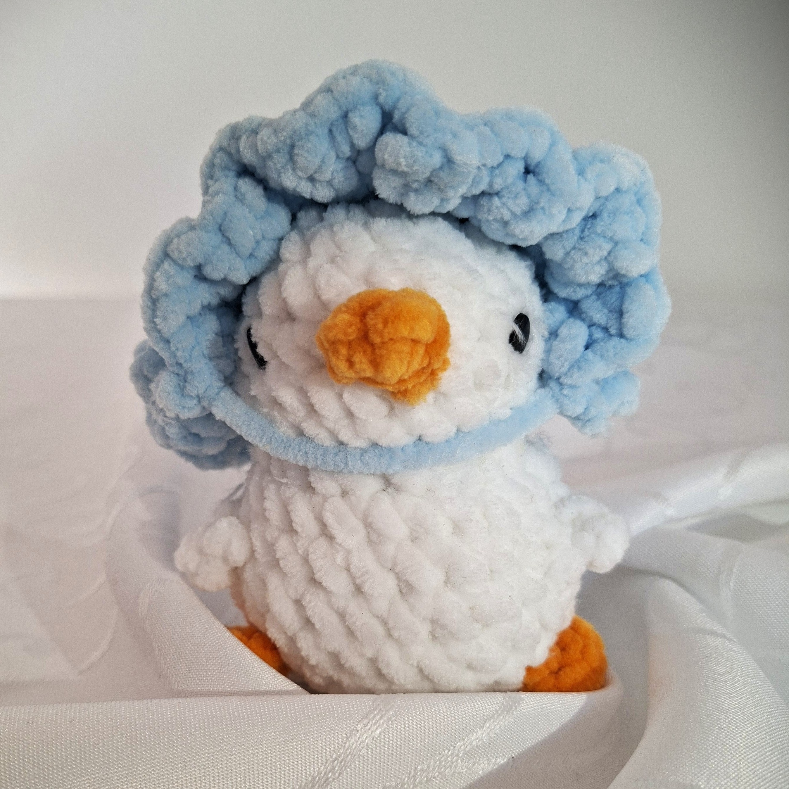 Cloudy Duck
