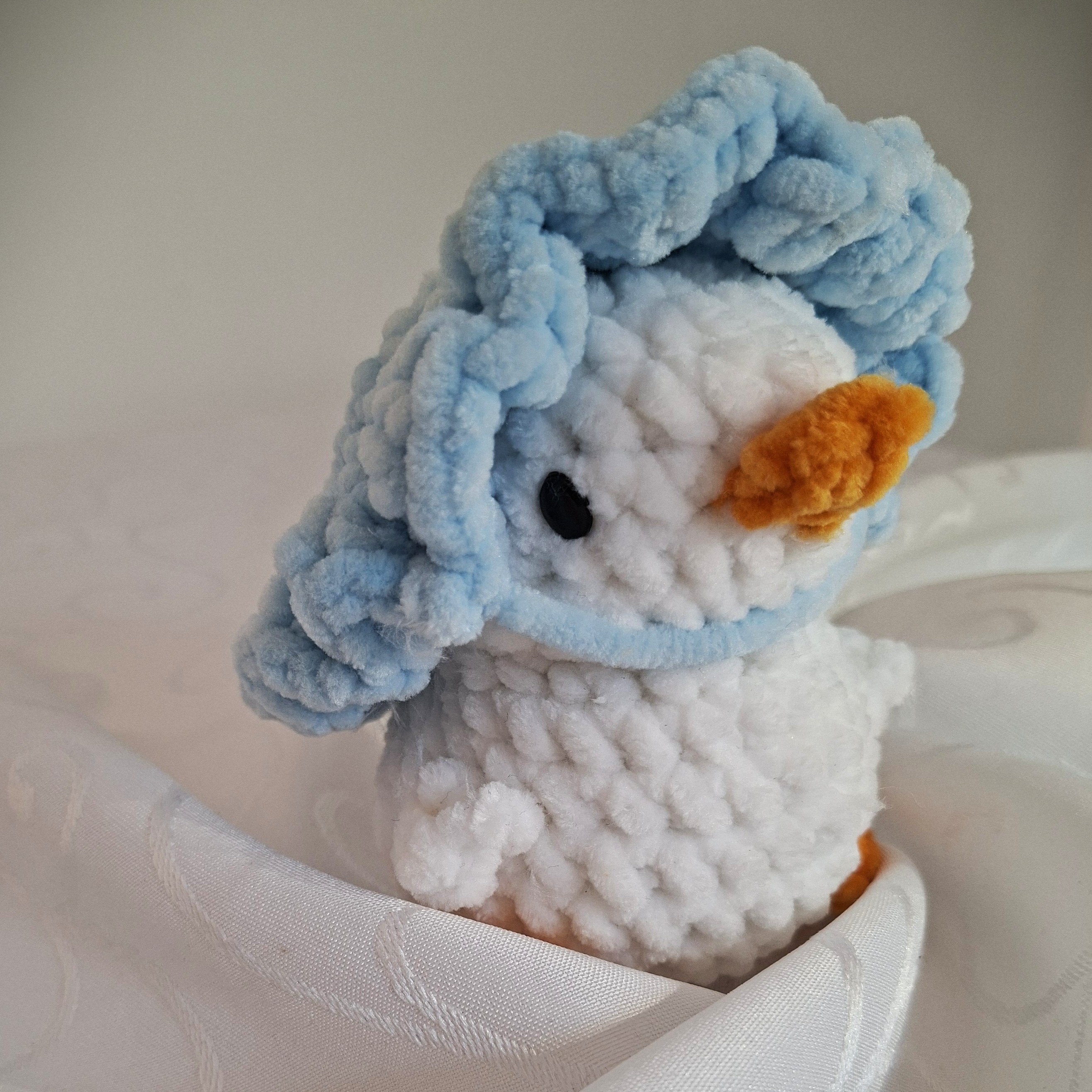 Cloudy Duck